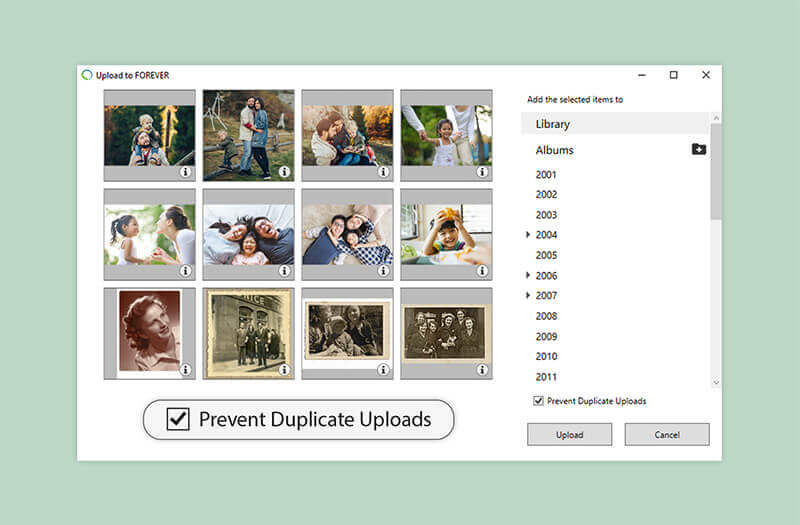 Screenshot of the Historian 6 duplicate file prevention user interface.